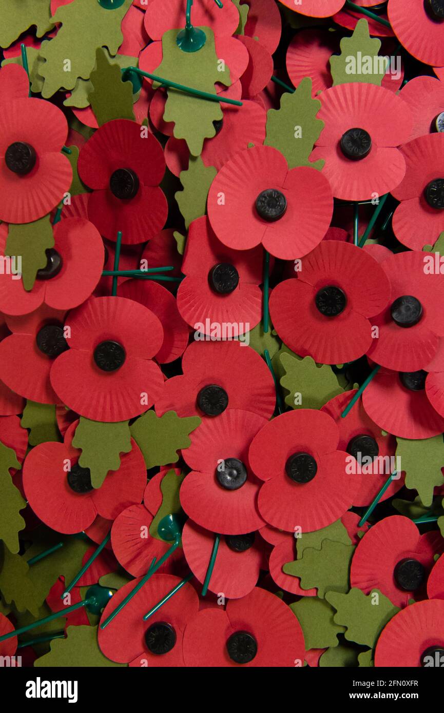 Box of Completed Poppies, The Royal British Legion's Poppy Factory, 20 Petersham Road, Richmond, Londres, Royaume-Uni. L’usine de coquelicots emploie du personnel d’ex-service pour faire des coquelicots, des croix commémorantes, des sprays et des couronnes pour le jour annuel d’appel et de souvenir de la Légion royale britannique. La Poppy Factory est également responsable de la plantation et de l'accueil du champ du souvenir à l'abbaye de Westminster. The Royal British Legion's Poppy Factory, 20 Petersham Road, Londres, Royaume-Uni. 16 octobre 2013 Banque D'Images