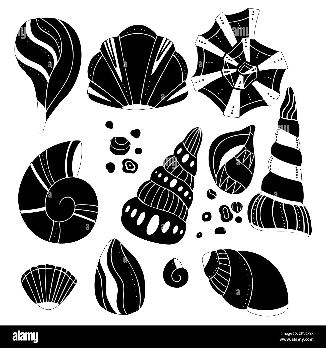 Ensemble de silhouettes noires de différentes coquillages avec motif boho. Palourdes et escargots de mer décorés. Objet vectoriel de mer pour logos. Icônes sur le thème de l'océan Illustration de Vecteur