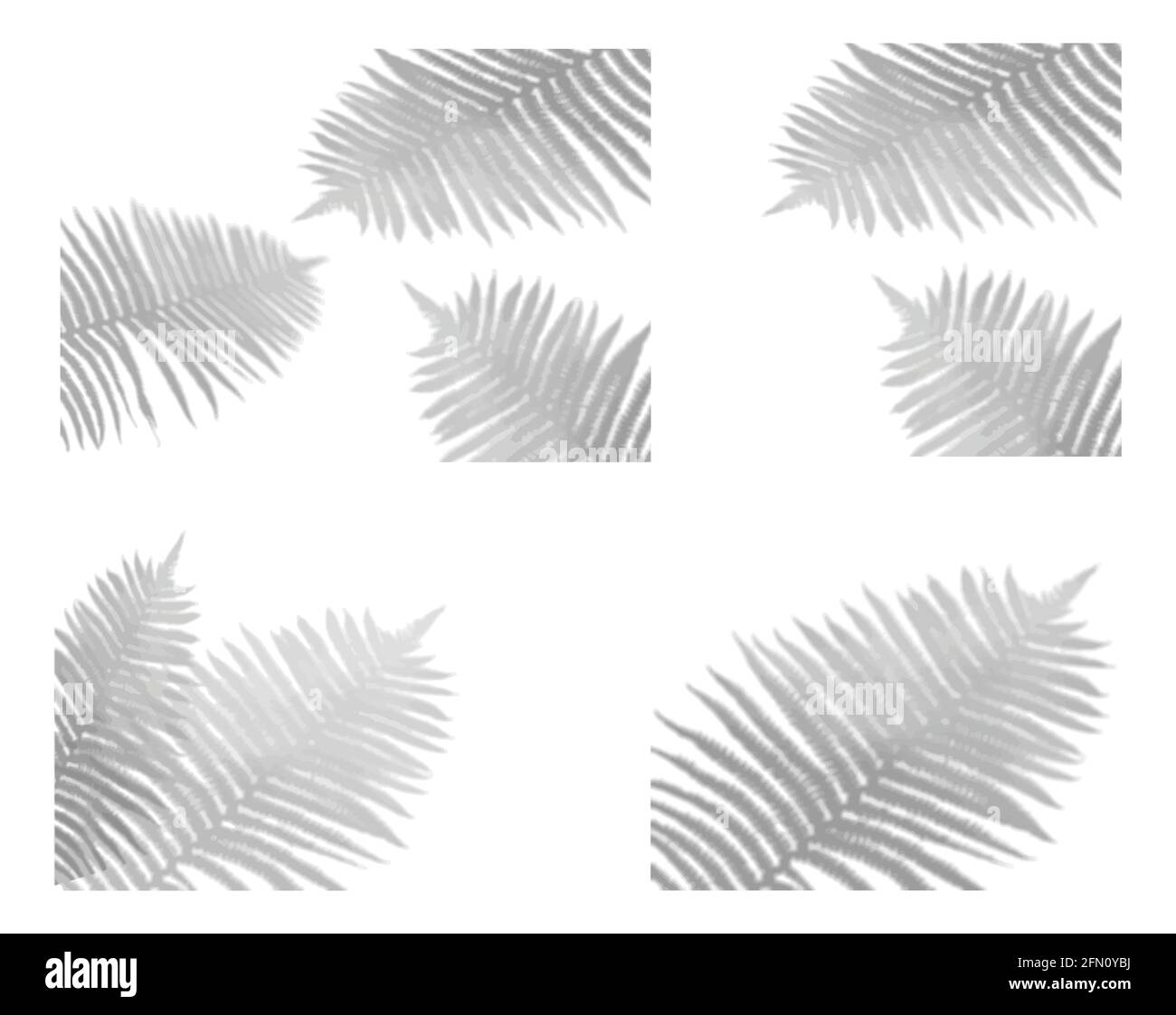 Ensemble d'effets d'ombre transparents pour le marquage. Doublure ombre pour les présentations de maquettes. L'ombre des plantes tropicales pour des effets d'éclairage naturels Illustration de Vecteur