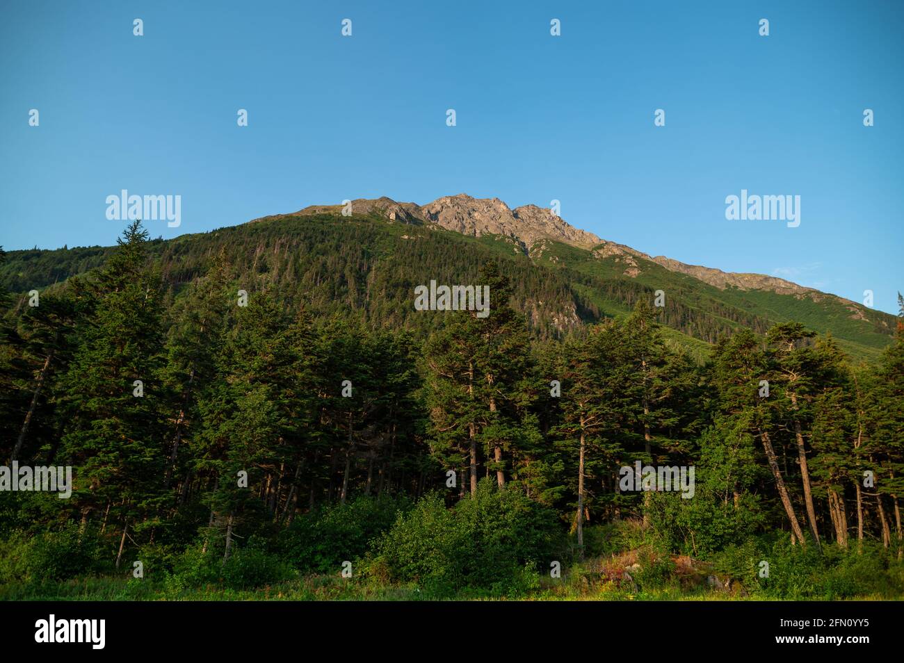 Flânez en Alaska ! Banque D'Images