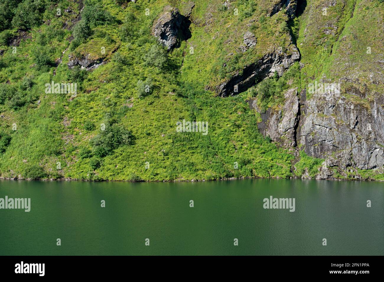 FLO, NORVÈGE - 2020 AOÛT 10. Lac vert et forêt. Banque D'Images