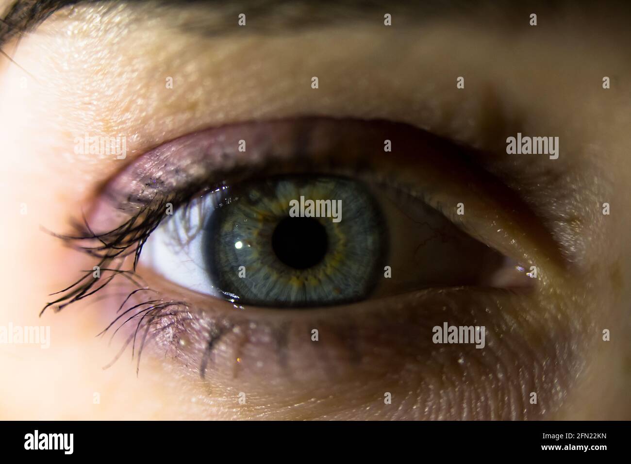 macro photo d'un grand-ouvert un œil humain, globe oculaire avec pupille dilatée et réflexion sur sa surface, couleur grise des yeux, peint et mascara eyeliner, fluf Banque D'Images