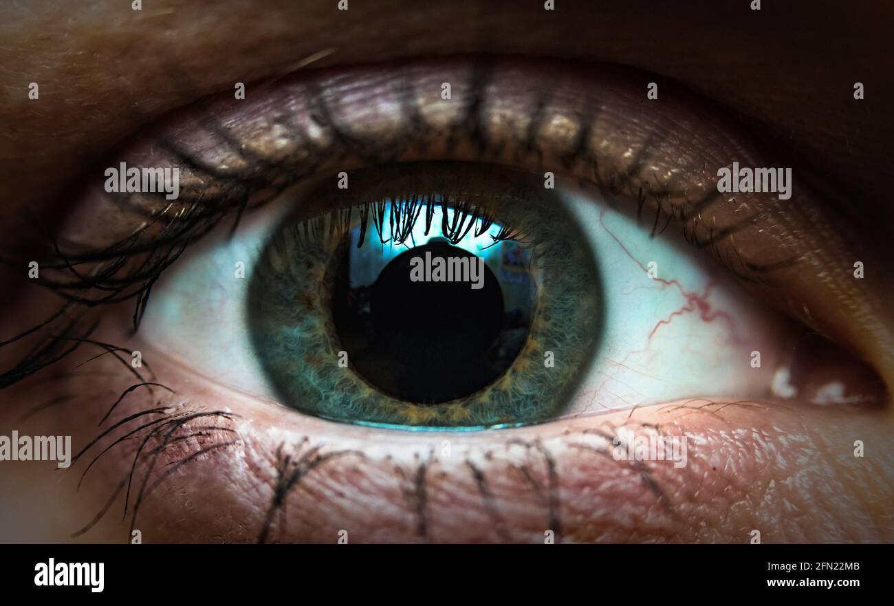 macro photo d'un grand-ouvert un œil humain, globe oculaire avec pupille dilatée et réflexion sur sa surface, couleur grise des yeux, peint et mascara eyeliner, fluf Banque D'Images