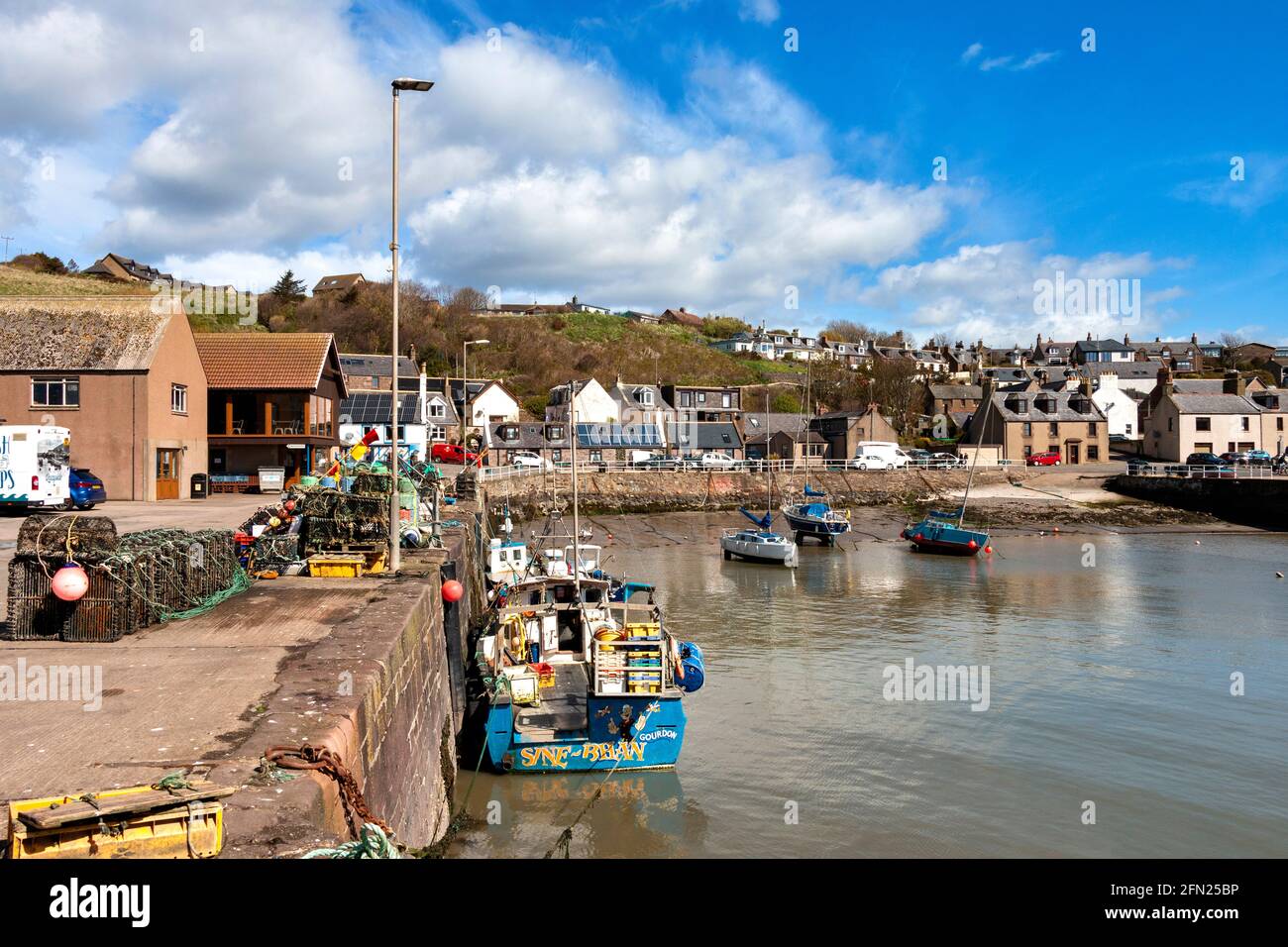 GOURDON ANGUS VILLAGE DE PÊCHEURS ÉCOSSAIS AVEC UN PORT DE PÊCHE NATUREL BATEAUX AMARRÉS AU QUAI ET MAISONS DE VILLAGE SUR LE CÔTE Banque D'Images