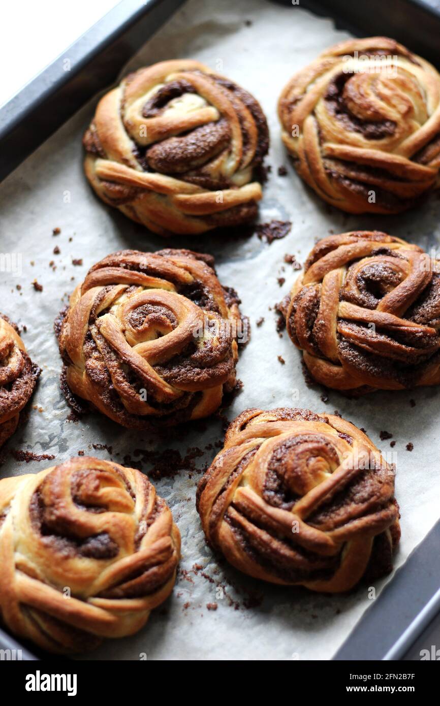 Gros plan sur les petits pains à la cannelle fraîchement cuits. Boulangerie. Banque D'Images