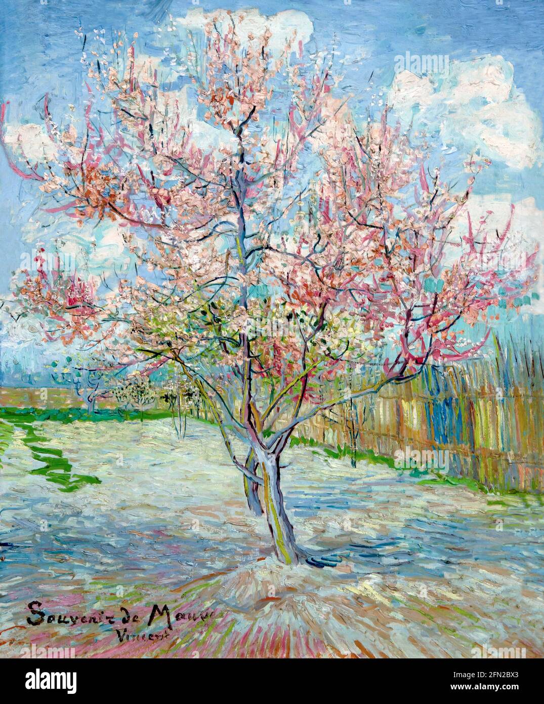 Pink Peach Trees, souvenir de mauve, Vincent van Gogh, 1888, Musée Kroller-Muller, Parc national Hoge Veluwe, Otterlo, pays-Bas, Europe Banque D'Images