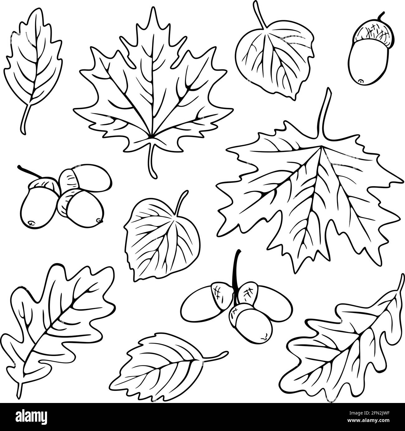 Collection vectorielle de différentes silhouettes de feuilles. Motif automne pour livre de coloriage. Illustration de Vecteur
