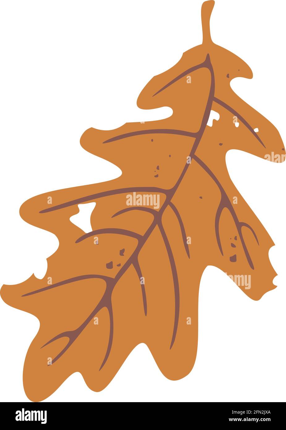 Illustration vectorielle de la feuille de chêne. Motif automne. Illustration de Vecteur