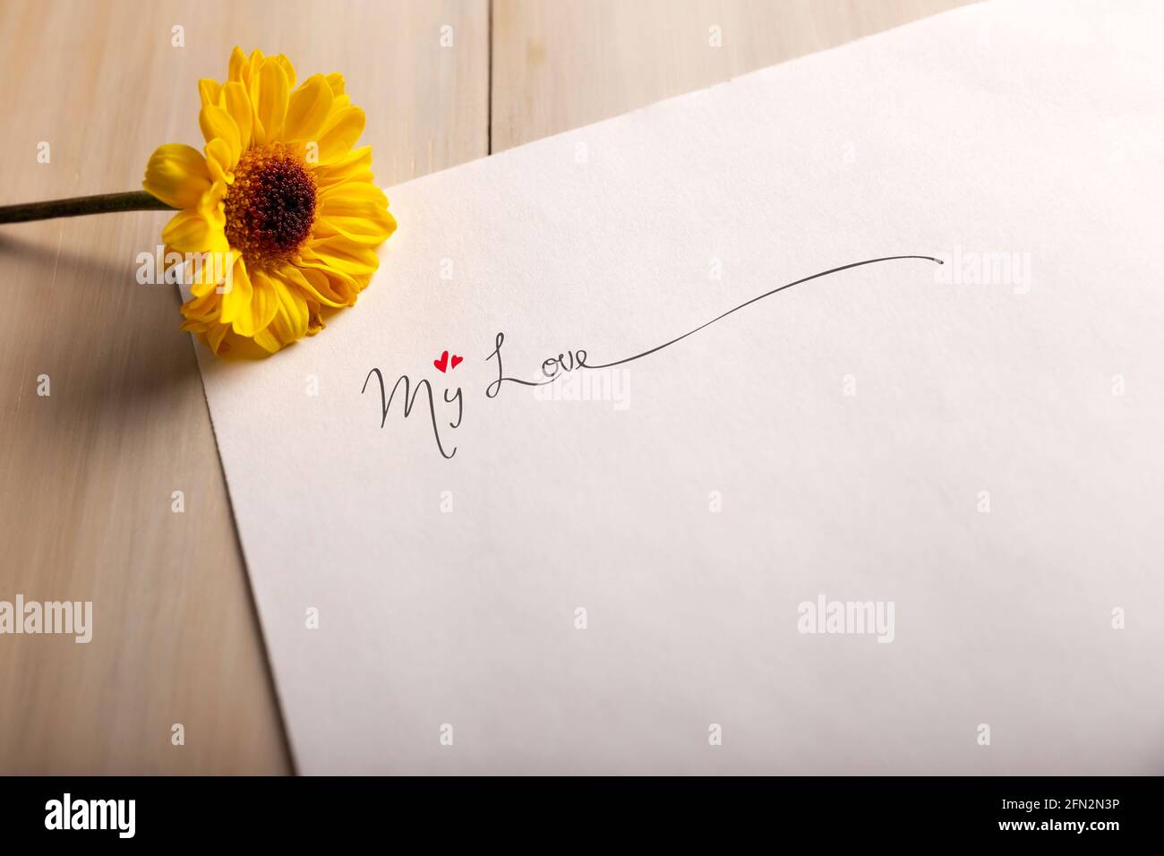 Lettre d'amour. Feuille de papier blanche avec l'expression « mon amour » et une fleur jaune Banque D'Images