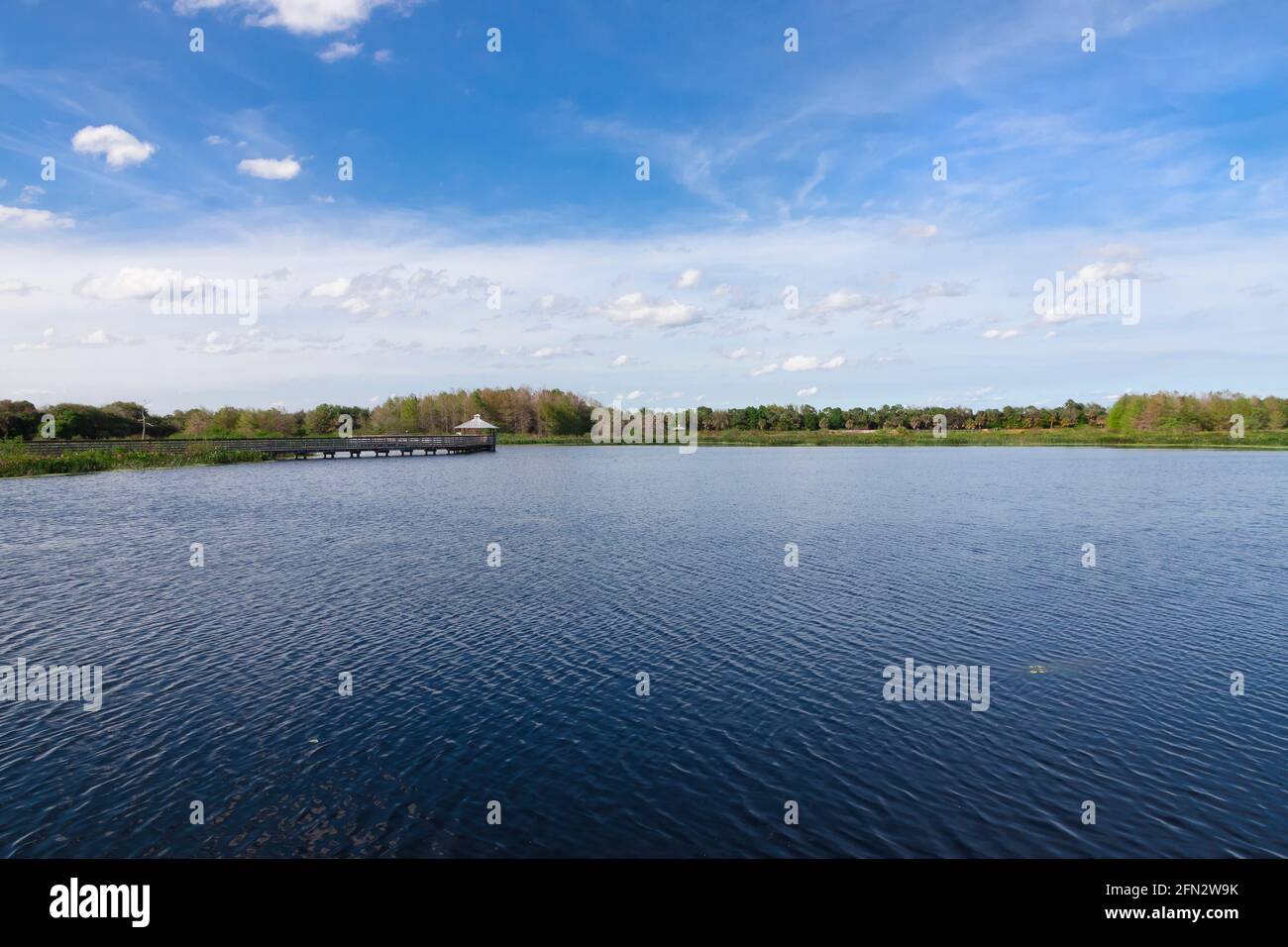 Green Cay nature Center and Wetlands, Boynton Beach, Palm Beach County, Floride. Banque D'Images