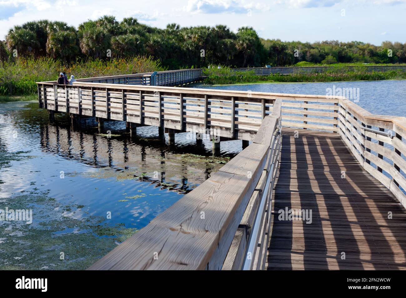 Promenade surélevée au Green Cay nature Center et aux terres humides de Boynton Beach, comté de Palm Beach, Floride, États-Unis. Banque D'Images