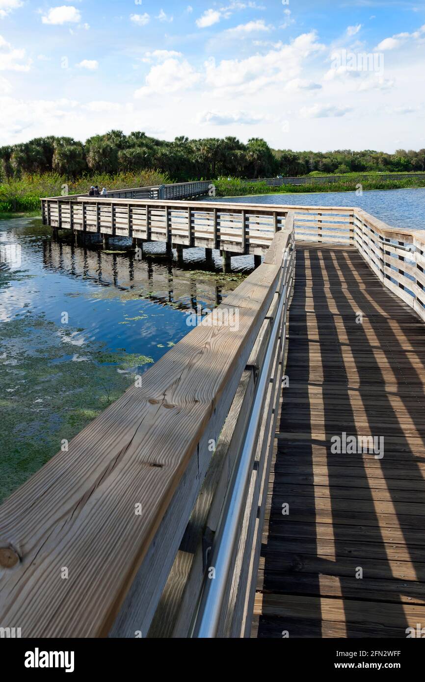 Promenade surélevée au Green Cay nature Center et aux terres humides de Boynton Beach, comté de Palm Beach, Floride, États-Unis. Banque D'Images
