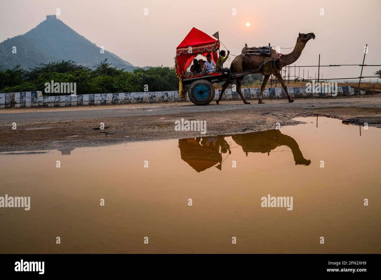 Divers chameaux à la Foire de Pouchkar Camel Banque D'Images