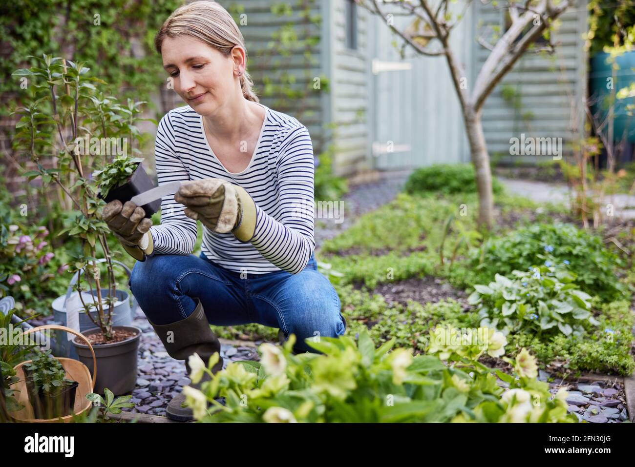 Femme mature plante des plantes dans le jardin à la maison lecture étiquette Banque D'Images