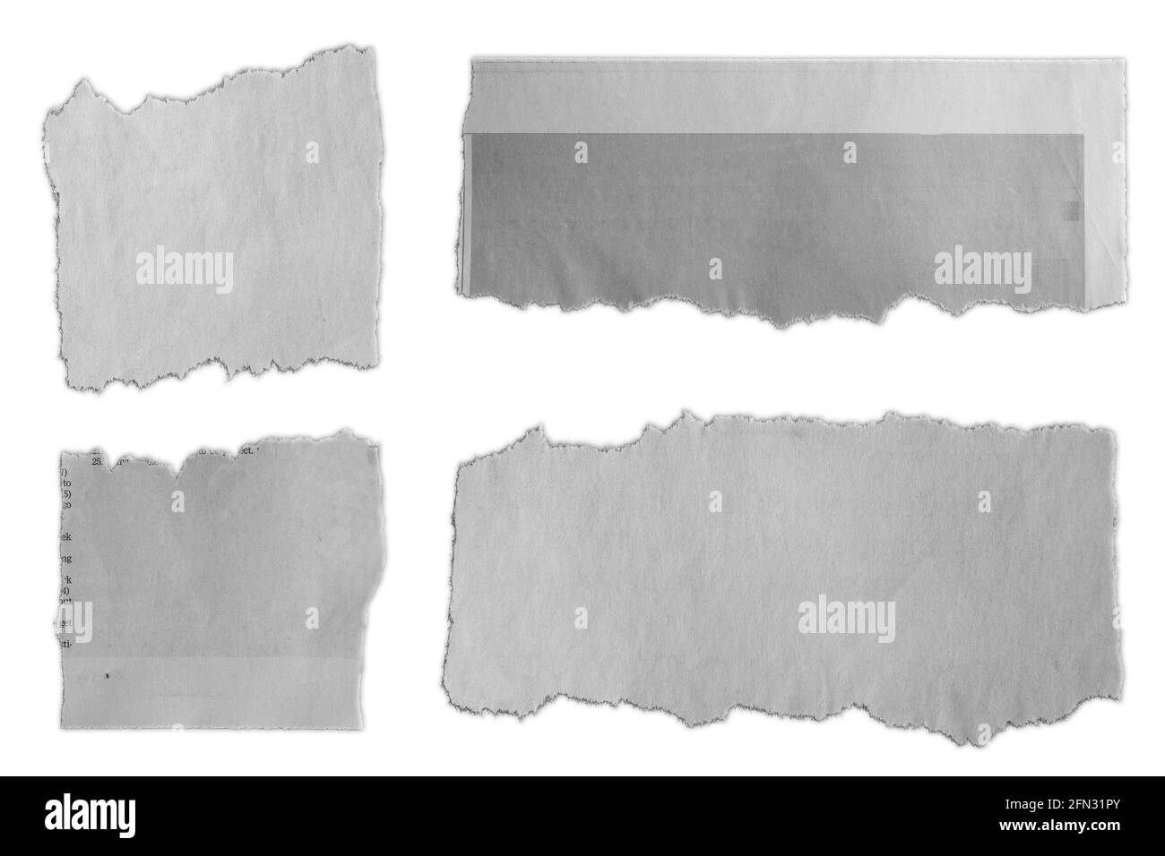 Quatre morceaux de papier déchiré sur fond uni Banque D'Images