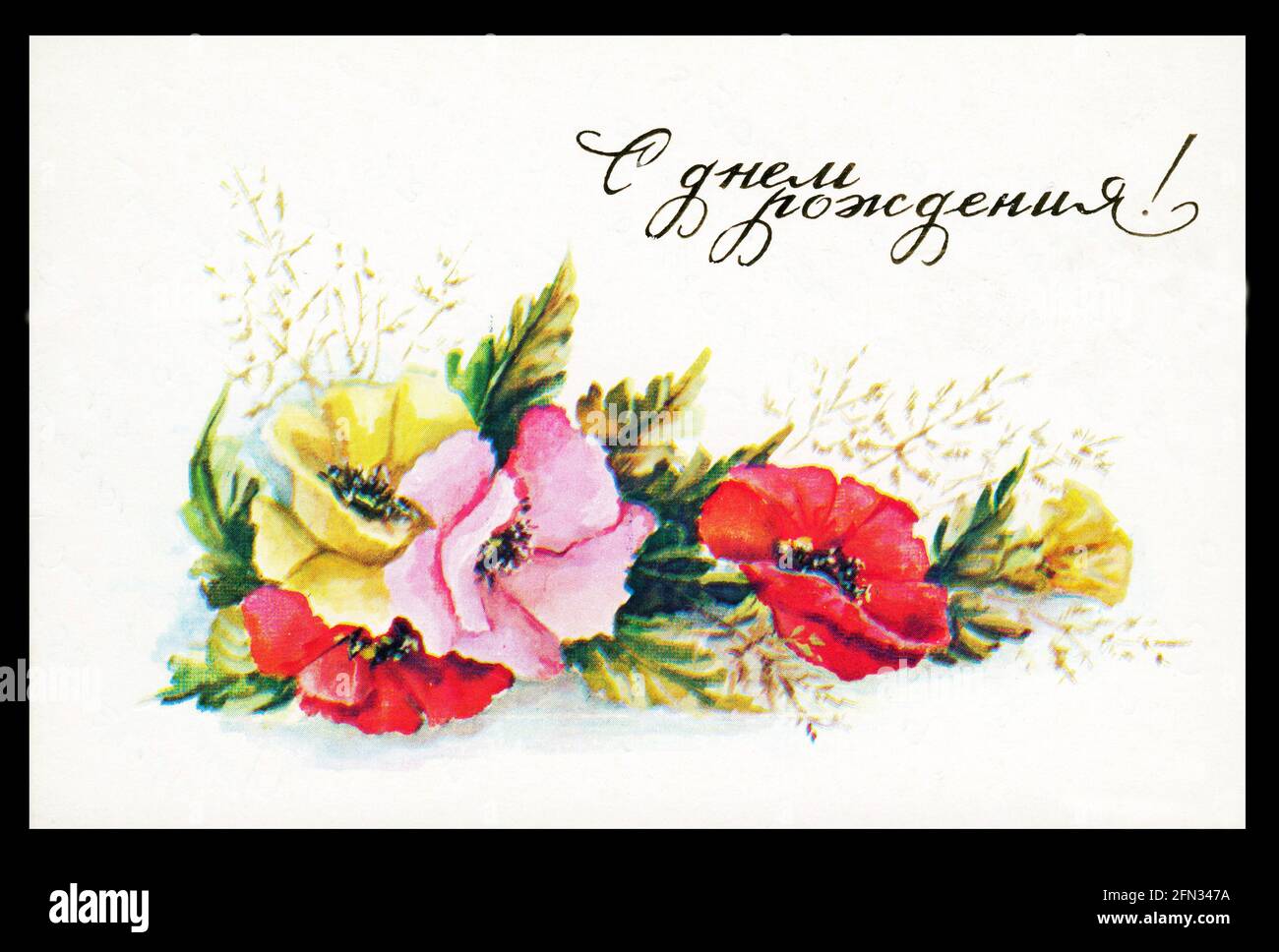Cartes De Vœux Avec Photo Joyeux Anniversaire Coquelicots Coquelicots De Fleurs Photo Stock Alamy Cartes De Vœux Avec Photo Joyeux Anniversaire Coquelicots Coquelicots De Fleurs Photo Stock Alamy