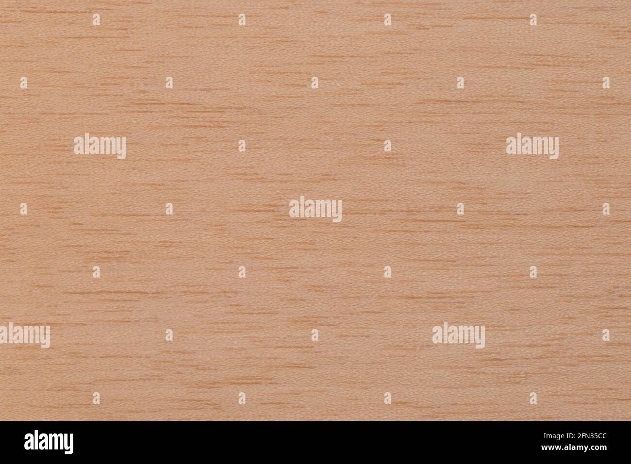 Texture de placage exotique en bois de cèdre Banque D'Images