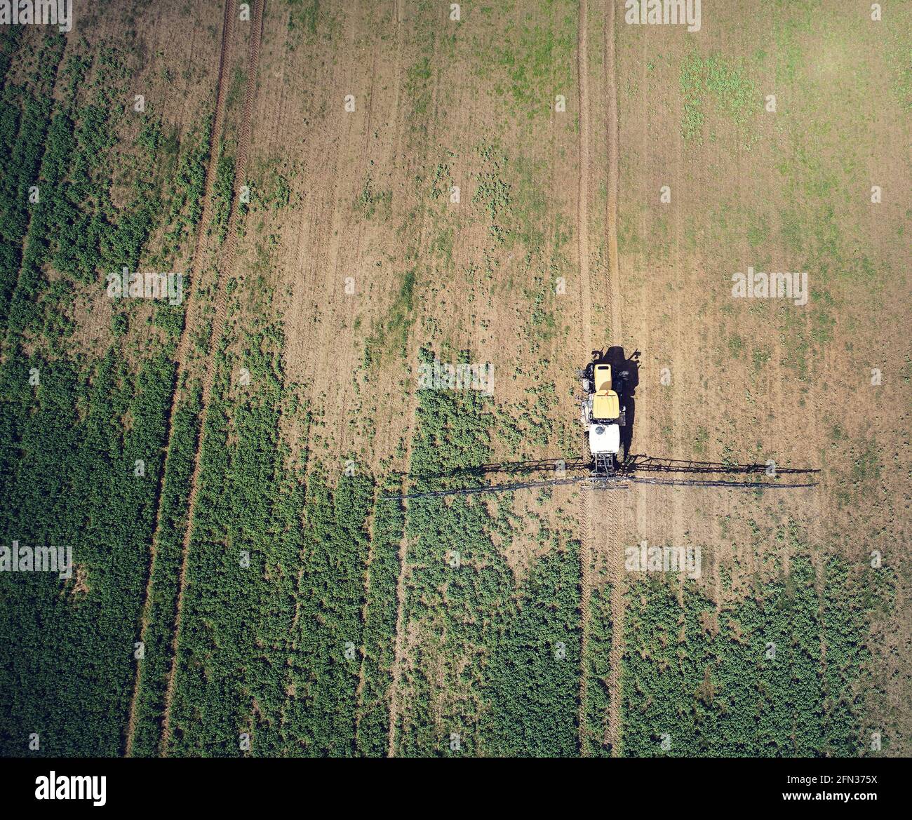 Appliquer le pesticide sur le mauvais champ avec le tracteur au-dessus du drone supérieur vue Banque D'Images Appliquer le pesticide sur le mauvais champ avec le tracteur au-dessus du drone supérieur vue Banque D'Images