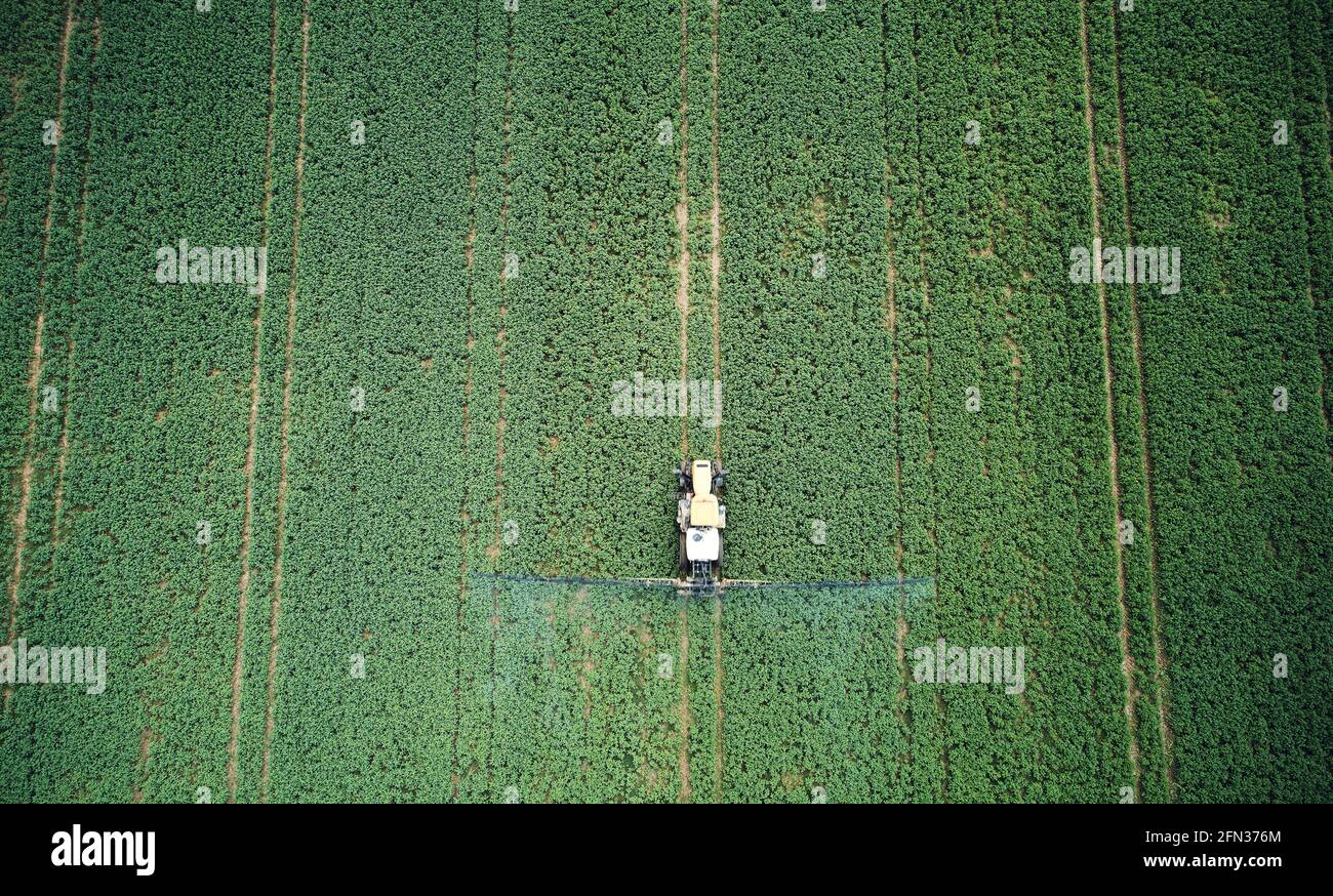 Tracteur pulvérisant des pesticides sur une prairie verte au-dessus de la vue de dessus du drone. Thème de l'agriculture Banque D'Images Tracteur pulvérisant des pesticides sur une prairie verte au-dessus de la vue de dessus du drone. Thème de l'agriculture Banque D'Images