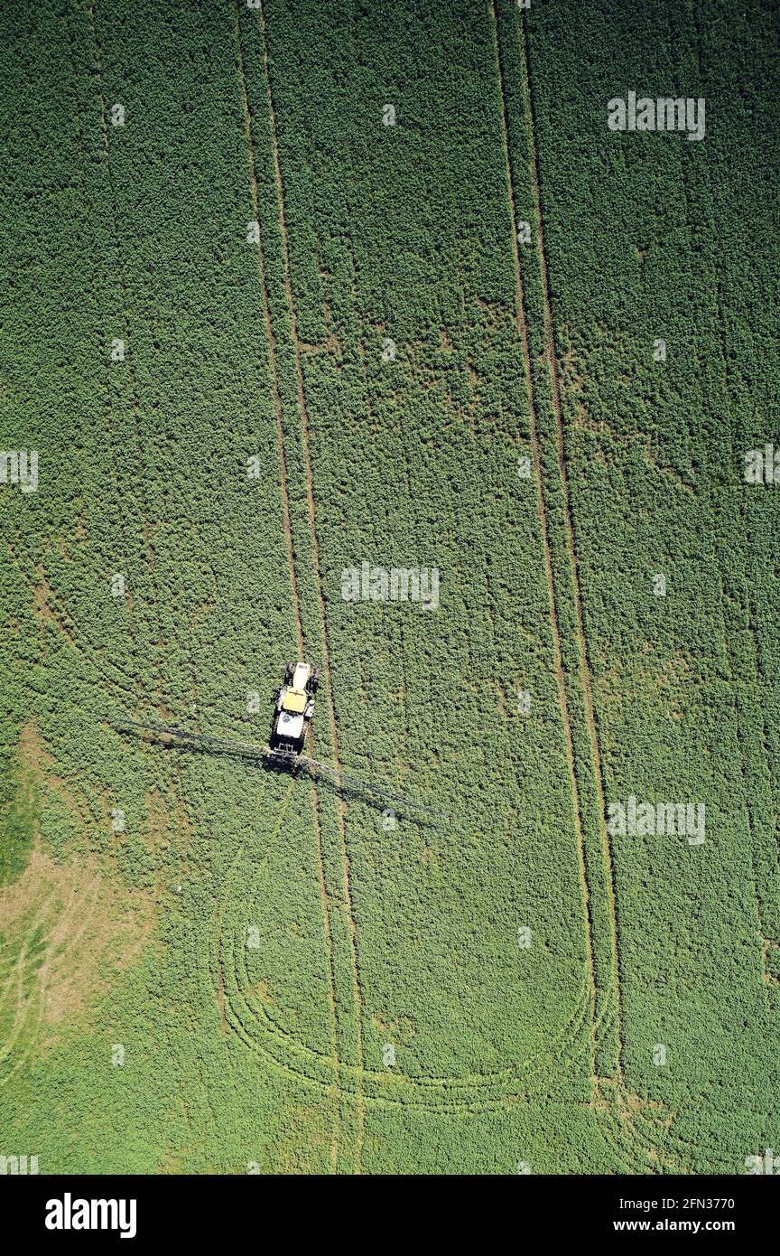 Tracteur agricole appliquer de l'engrais sur le champ vert au-dessus du drone supérieur vue Banque D'Images Tracteur agricole appliquer de l'engrais sur le champ vert au-dessus du drone supérieur vue Banque D'Images