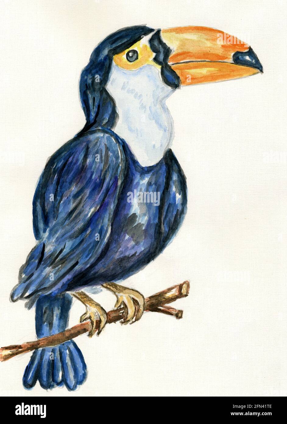 Dessin animé oiseau toucan, oiseau tropical dessiné à la main. Banque D'Images