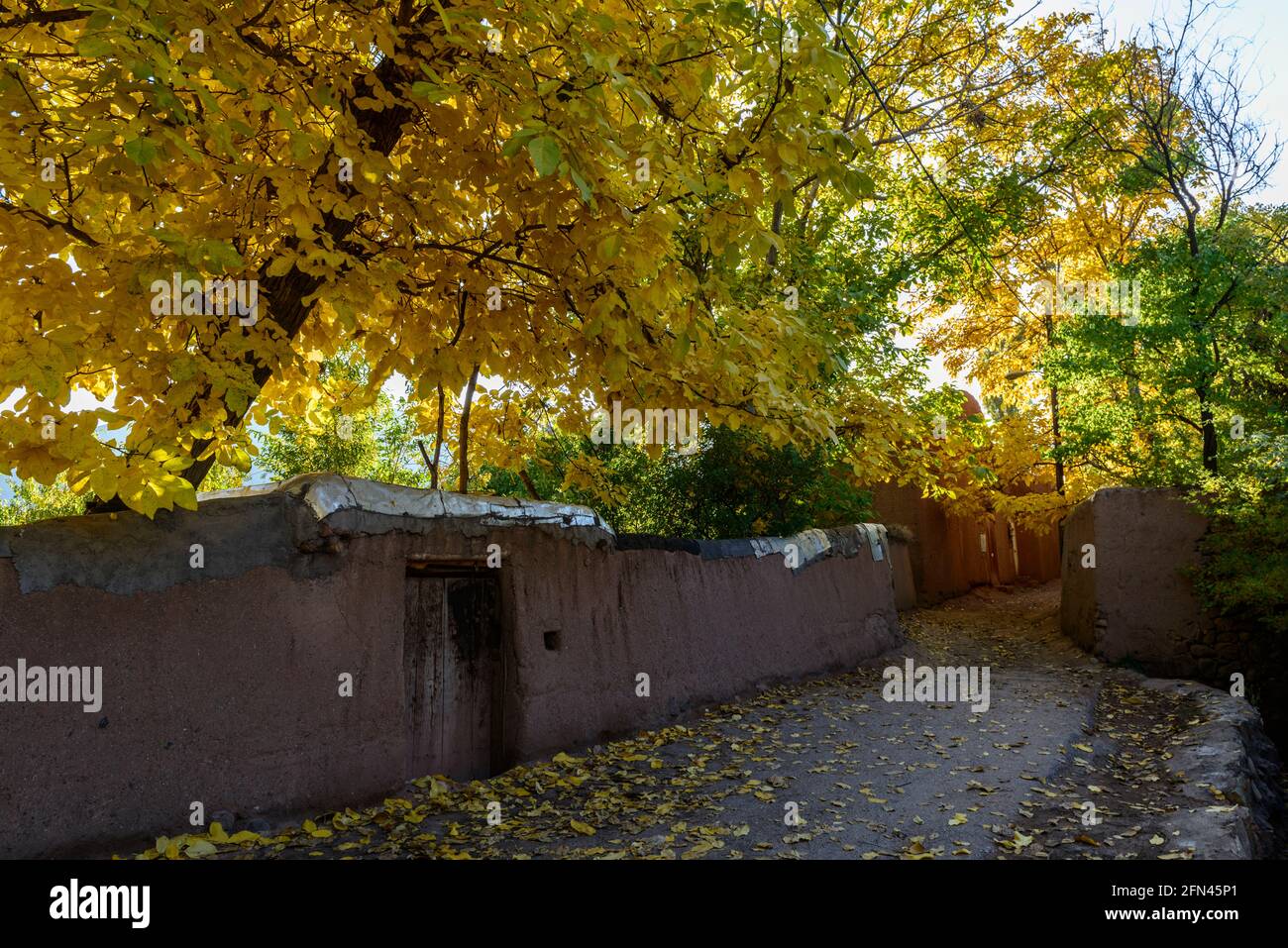 Arbres de couleur jaune en automne dans l'ancien village Abyaneh, province d'Ispahan, Iran. Banque D'Images