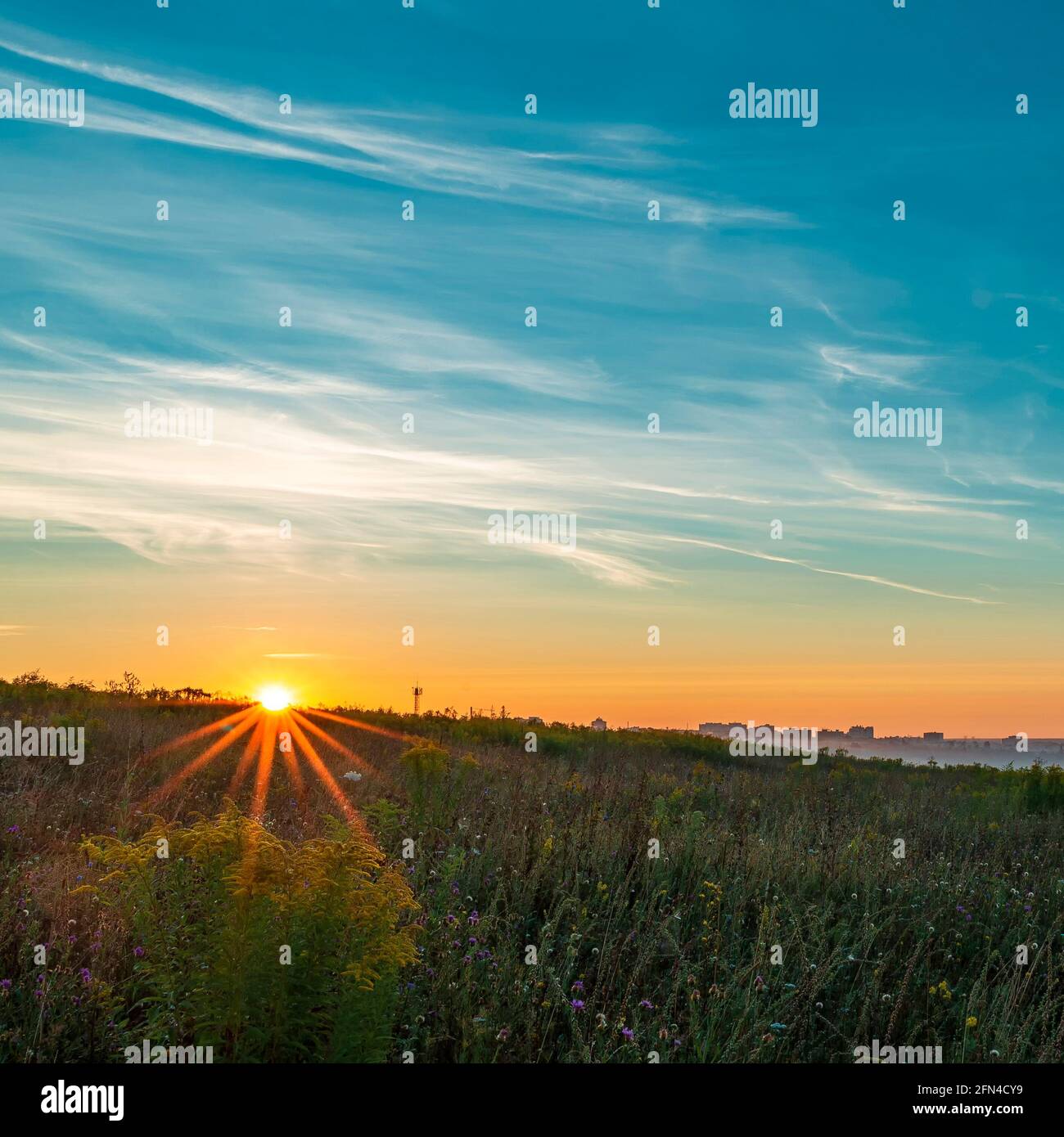 Les premiers rayons du soleil levant dans un champ à la périphérie de la ville Banque D'Images