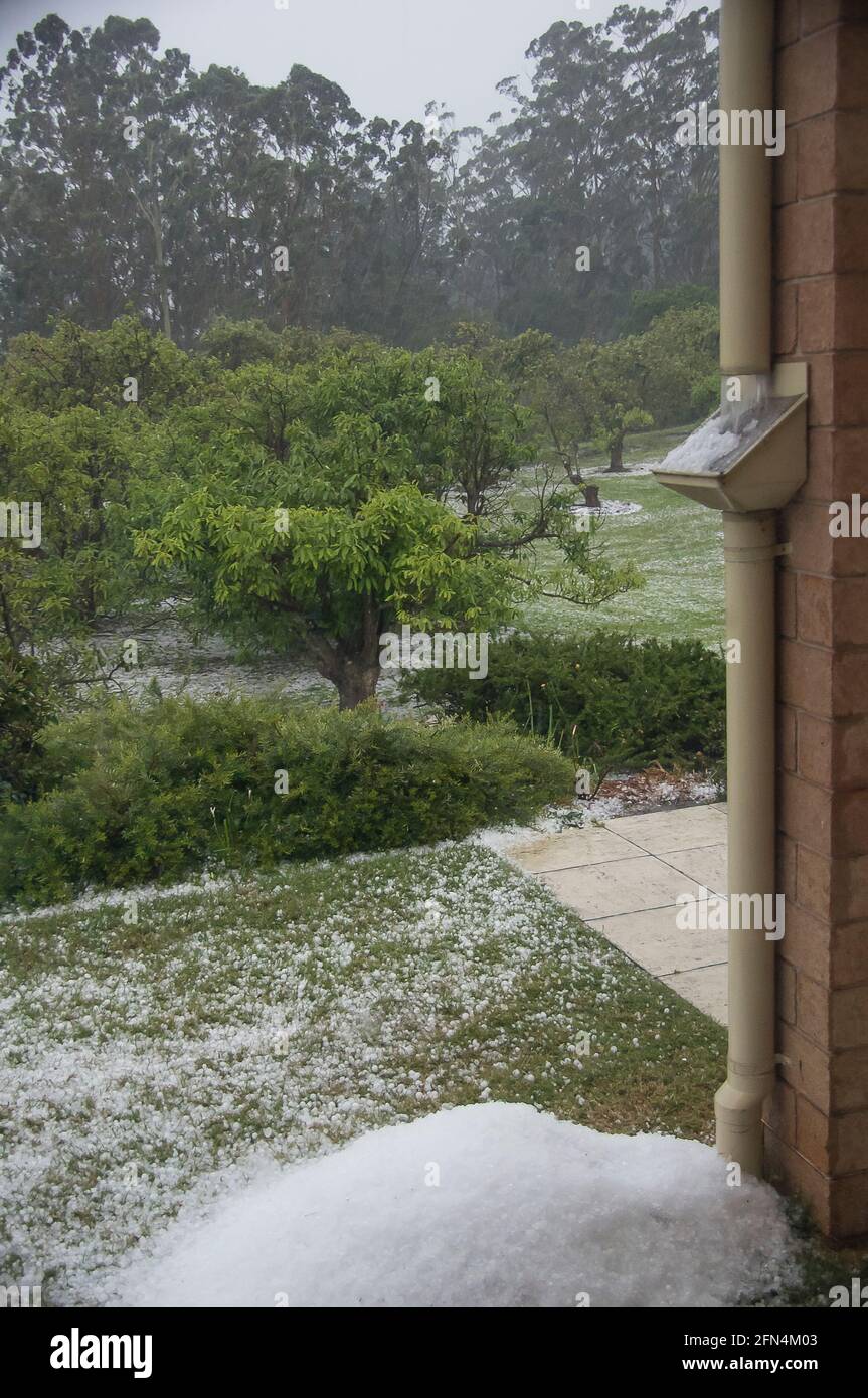 Des pierres de grêle se précipitent sur le tuyau d'eau, se ramassant sur le filet filtrant et sur le sol, comme la neige, dans la tempête de tonnerre. Jardin privé, Queensland, Australie. Banque D'Images