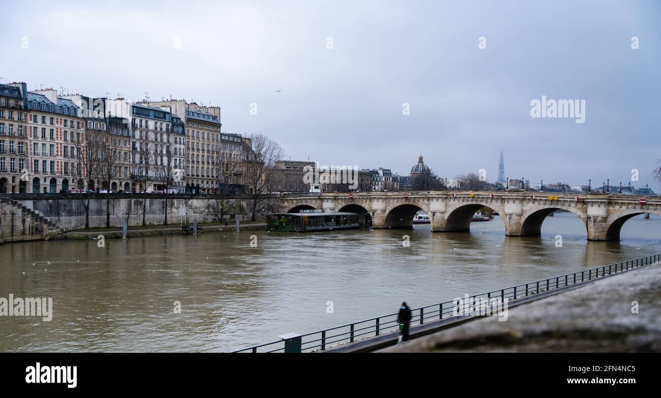 Vue sur le Pont neuf sur la Seine à Paris, en France, par une journée d'hiver Banque D'Images