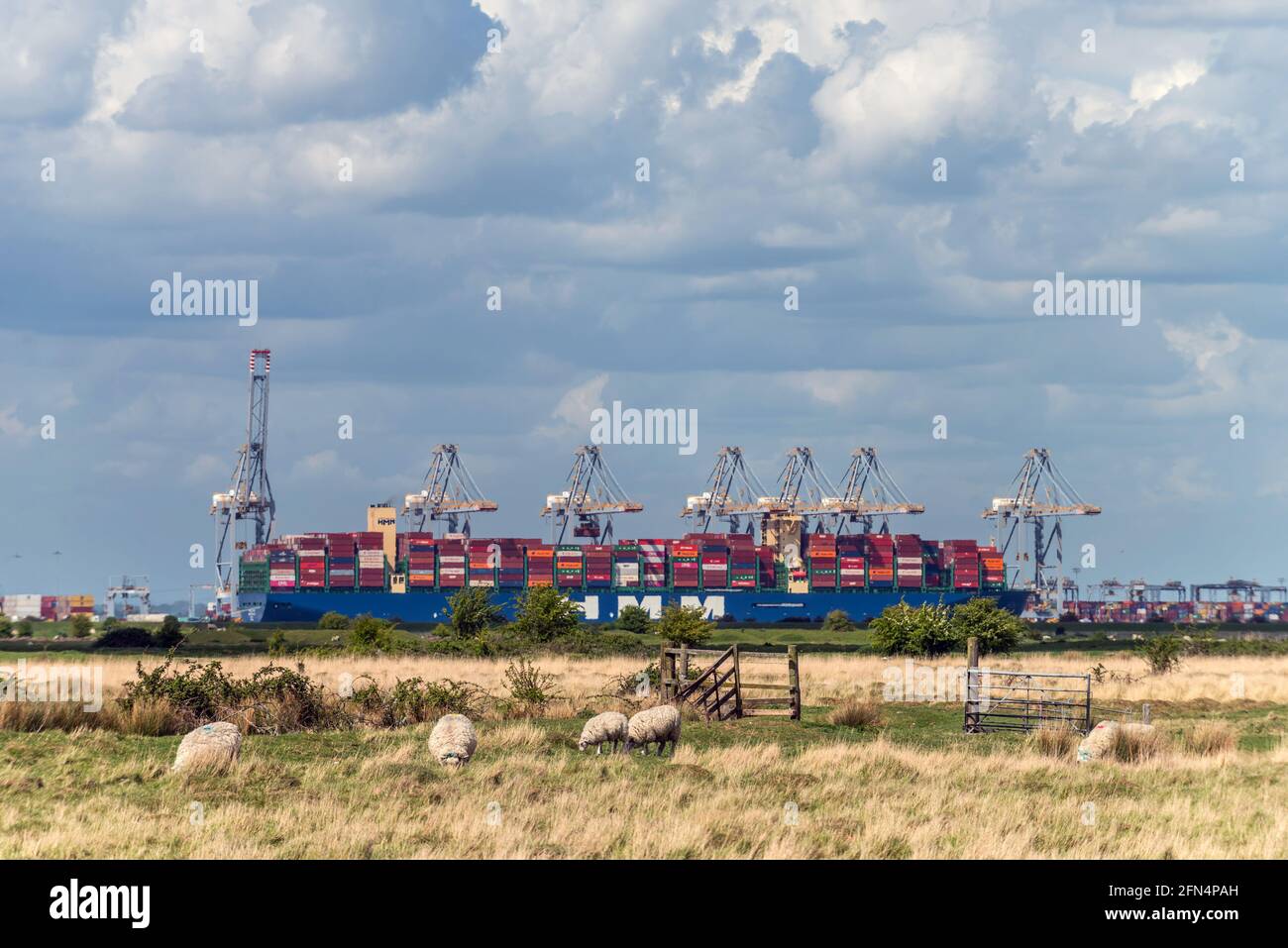 Cooling, 12 mai 2021 : vue sur le port de London Gateway depuis Cliffe, sur la péninsule de Hoo, Kent Banque D'Images