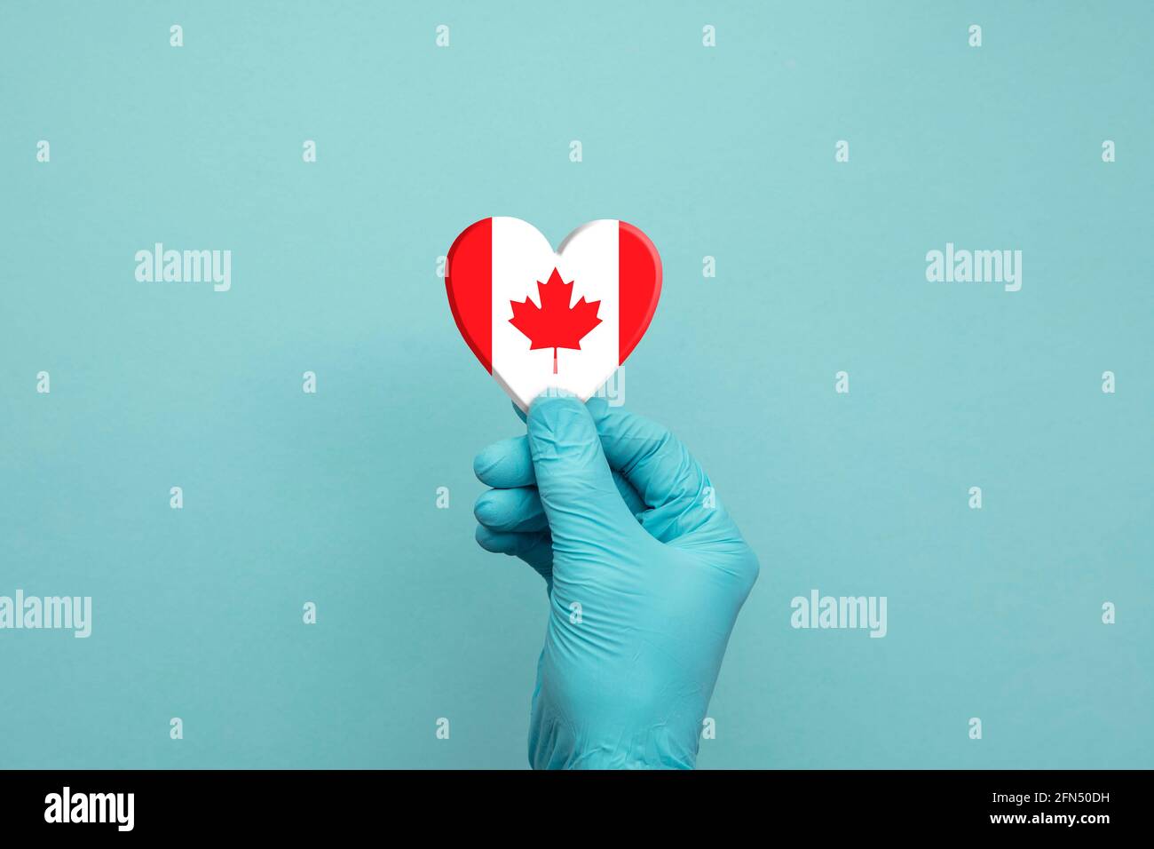 Mains portant des gants chirurgicaux de protection tenant le cœur du drapeau canadien Banque D'Images