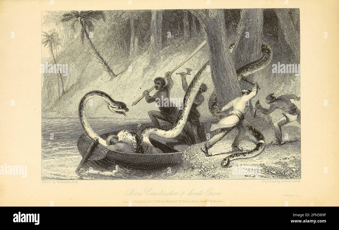Boa Constrictor and Boat’s Crew du livre « The Oriental Annual, or, Scenes in India » du rév. Hobart Caunter publié par Edward Bull, Londres 1835 gravures tirées de dessins de William Daniell Banque D'Images
