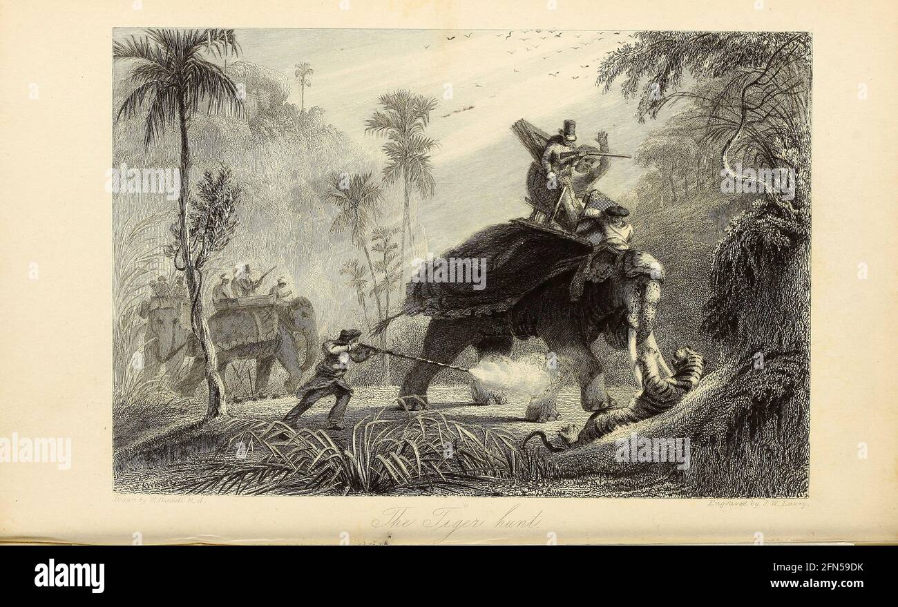 The Tiger Hunt du livre ' The Oriental Annual, or, Scenes in India ' du rév. Hobart Caunter publié par Edward Bull, Londres 1836 gravures de dessins de William Daniell Banque D'Images