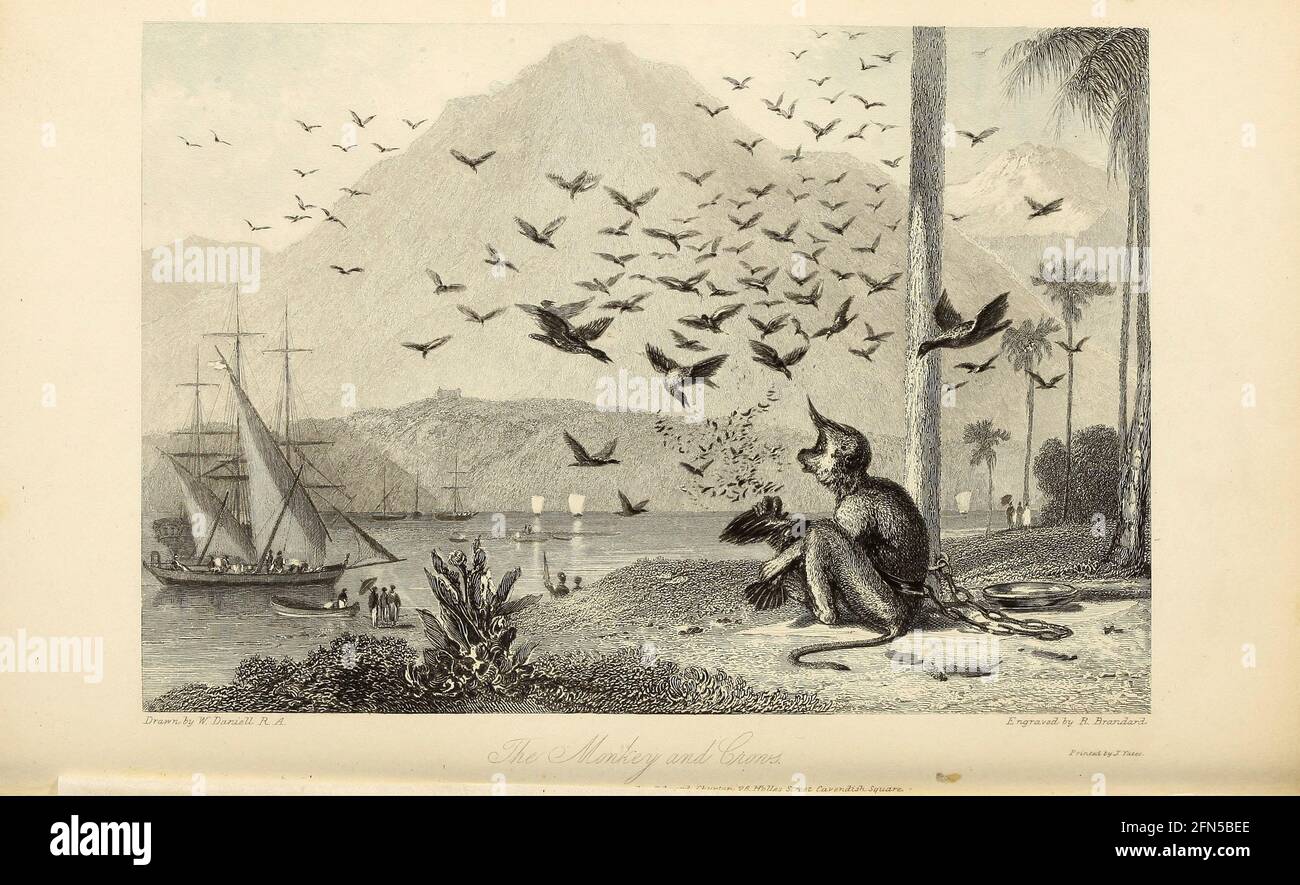 Le singe et les corneilles du livre « The Oriental Annual, or, Scenes in India » du rév. Hobart Caunter publié par Edward Bull, Londres 1836 gravures de dessins de William Daniell Banque D'Images