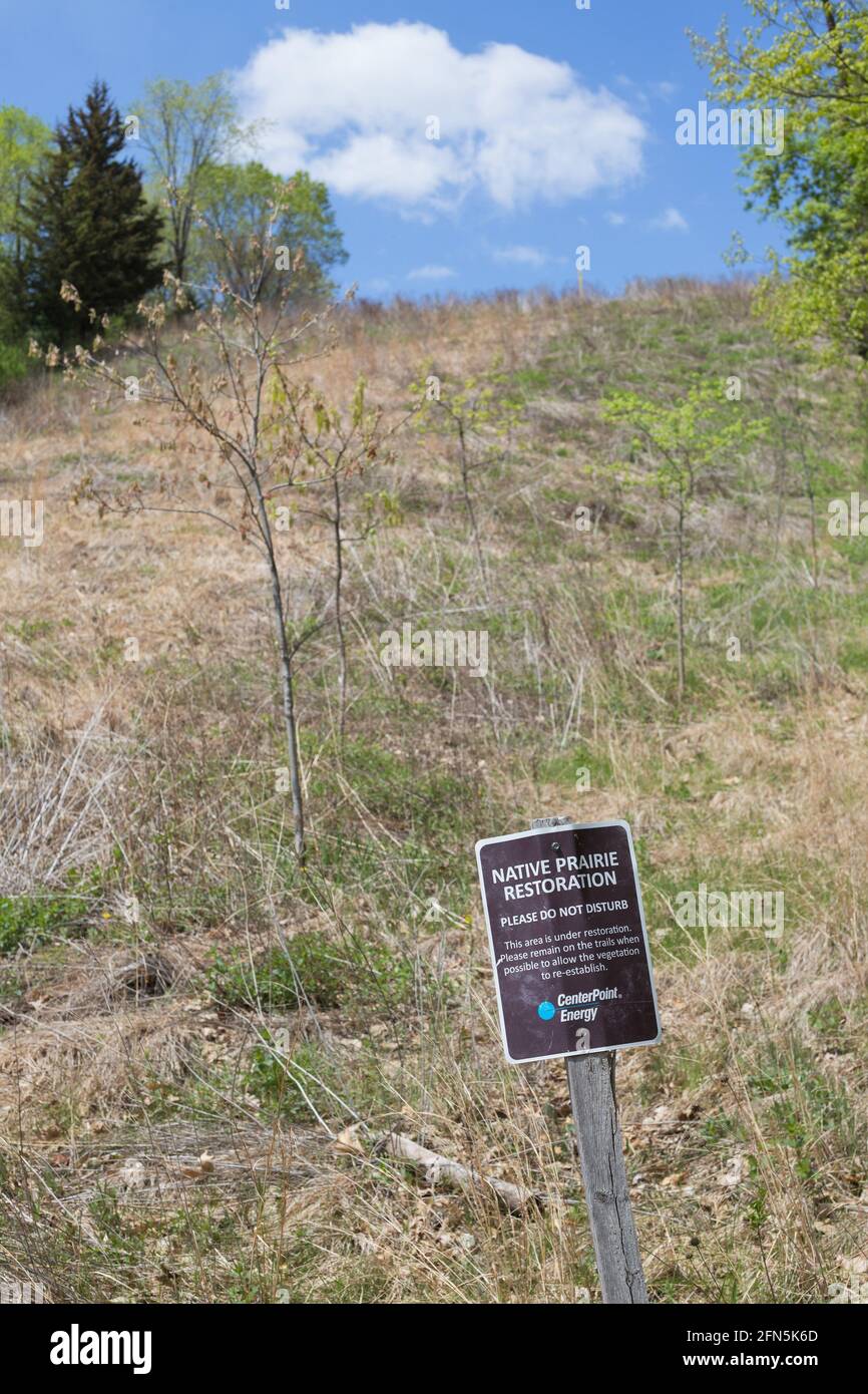 Une zone de restauration des prairies indigènes au parc de mission Pond-Dakota à Bloomington, Minnesota. Banque D'Images
