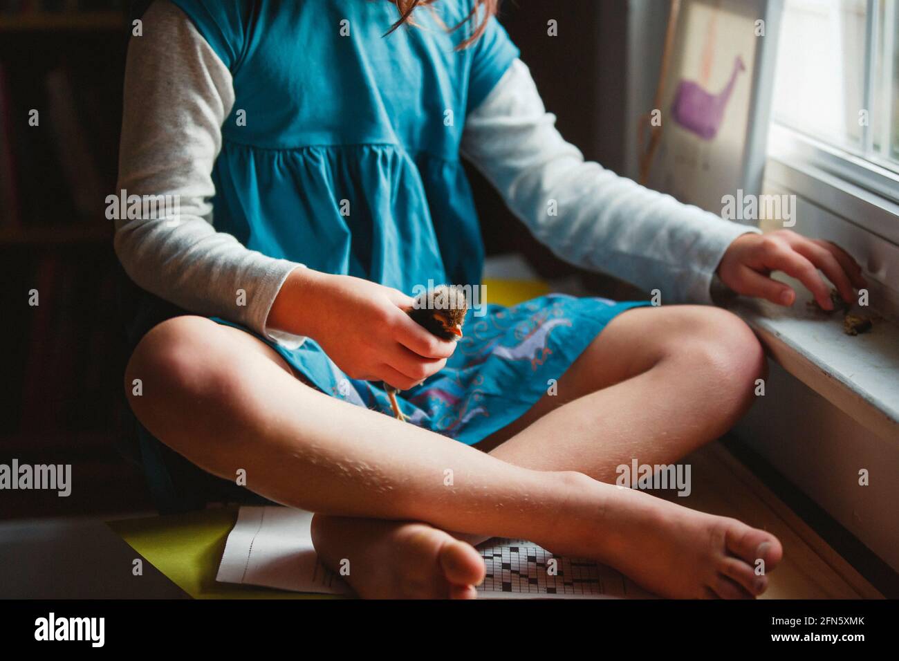 Un enfant est assis dans une fenêtre lumineuse tenant une minuscule floue poussin sur ses genoux Banque D'Images