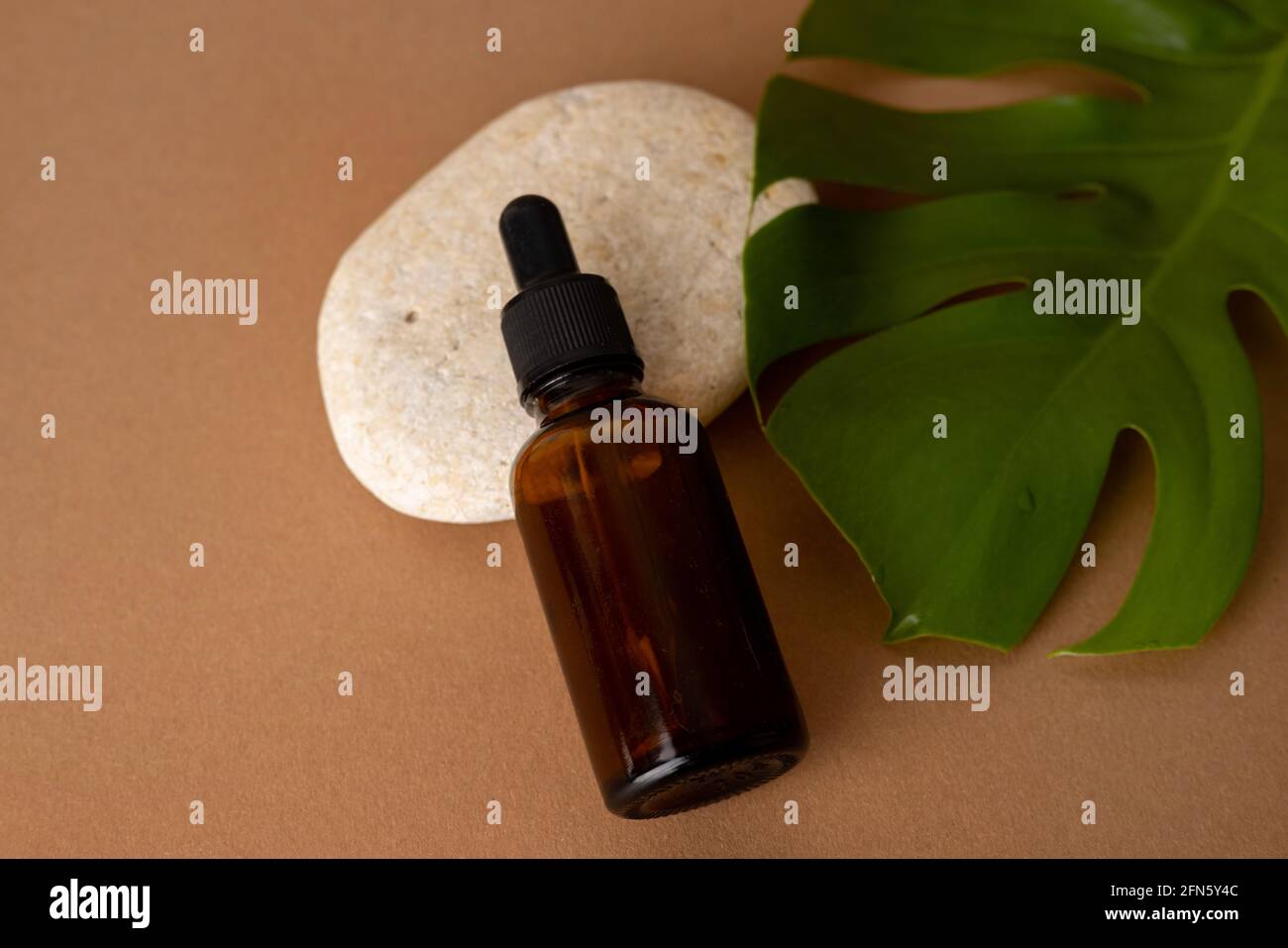 Compte-gouttes en verre brun avec huile cosmétique, plante monstère et pierre sur fond de terre cuite, gros plan. Banque D'Images
