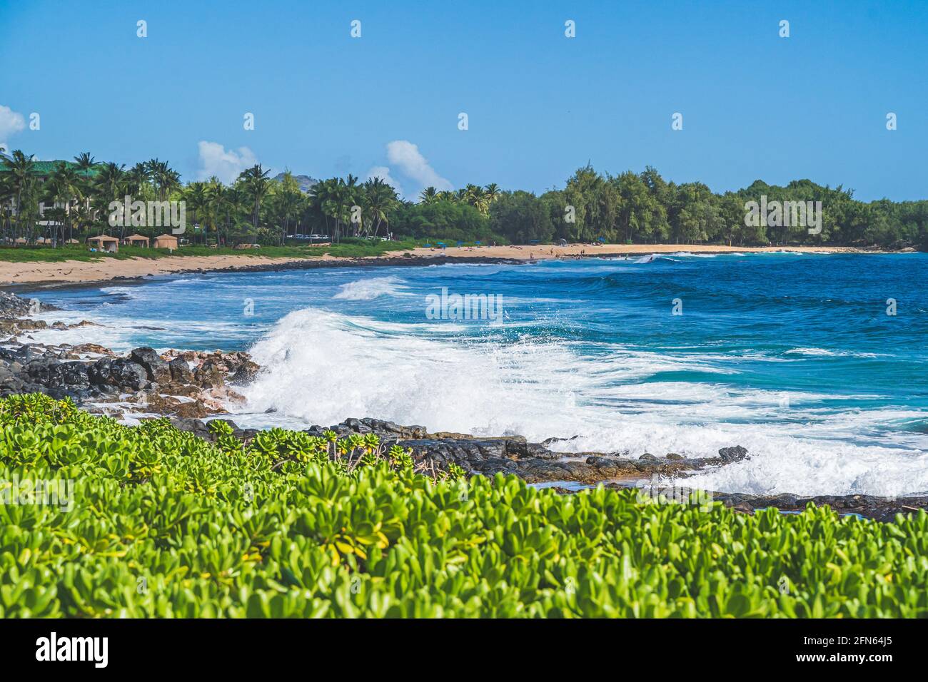 Vagues s'écrasant sur le corail sur la plage tropicale Banque D'Images