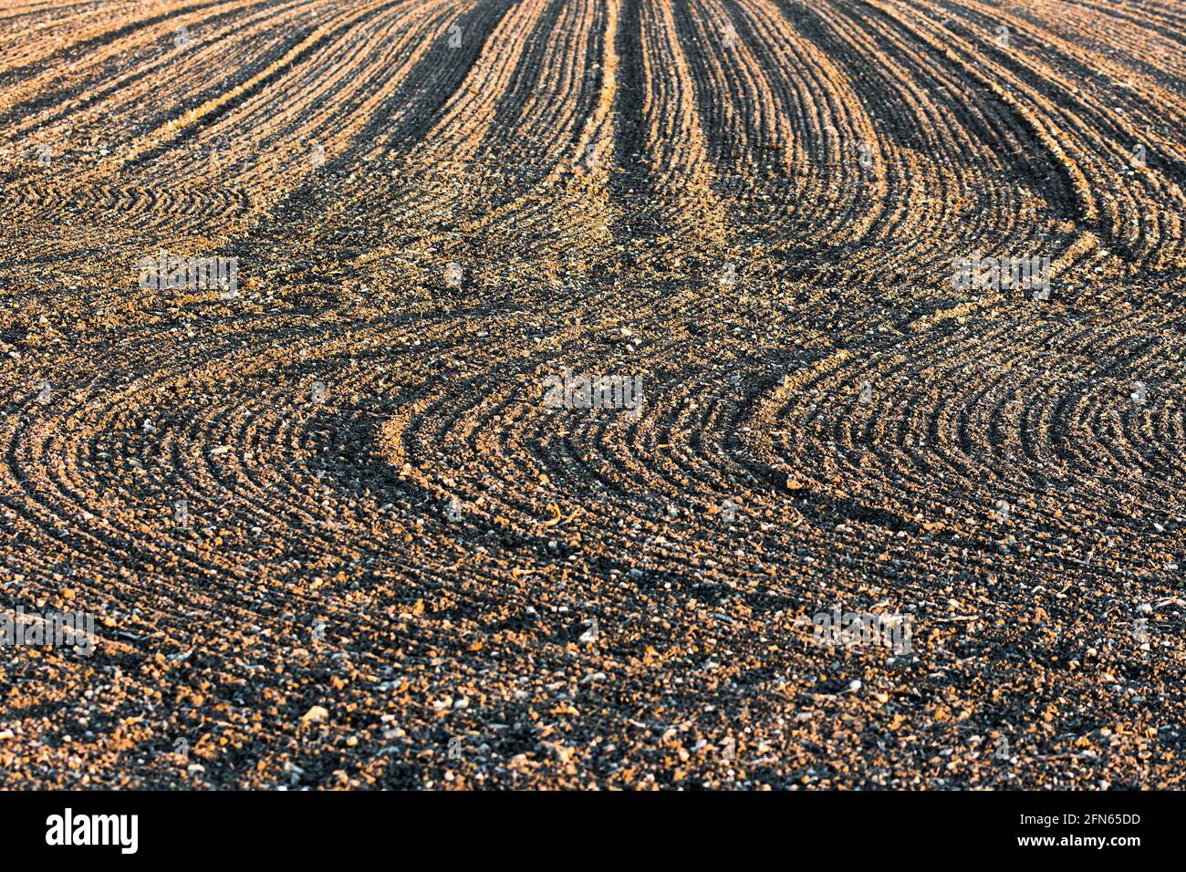 Lignes courbes fabriquées par machine d'ensemencement agricole - centre de la France. Banque D'Images