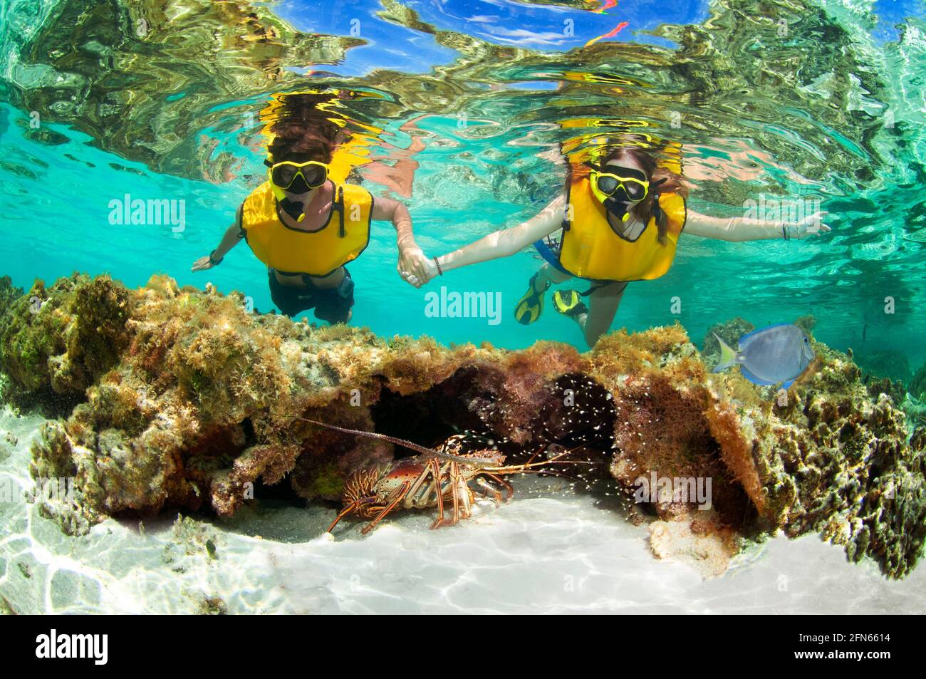 Couple amoureux de plongée libre dans les Caraïbes Banque D'Images