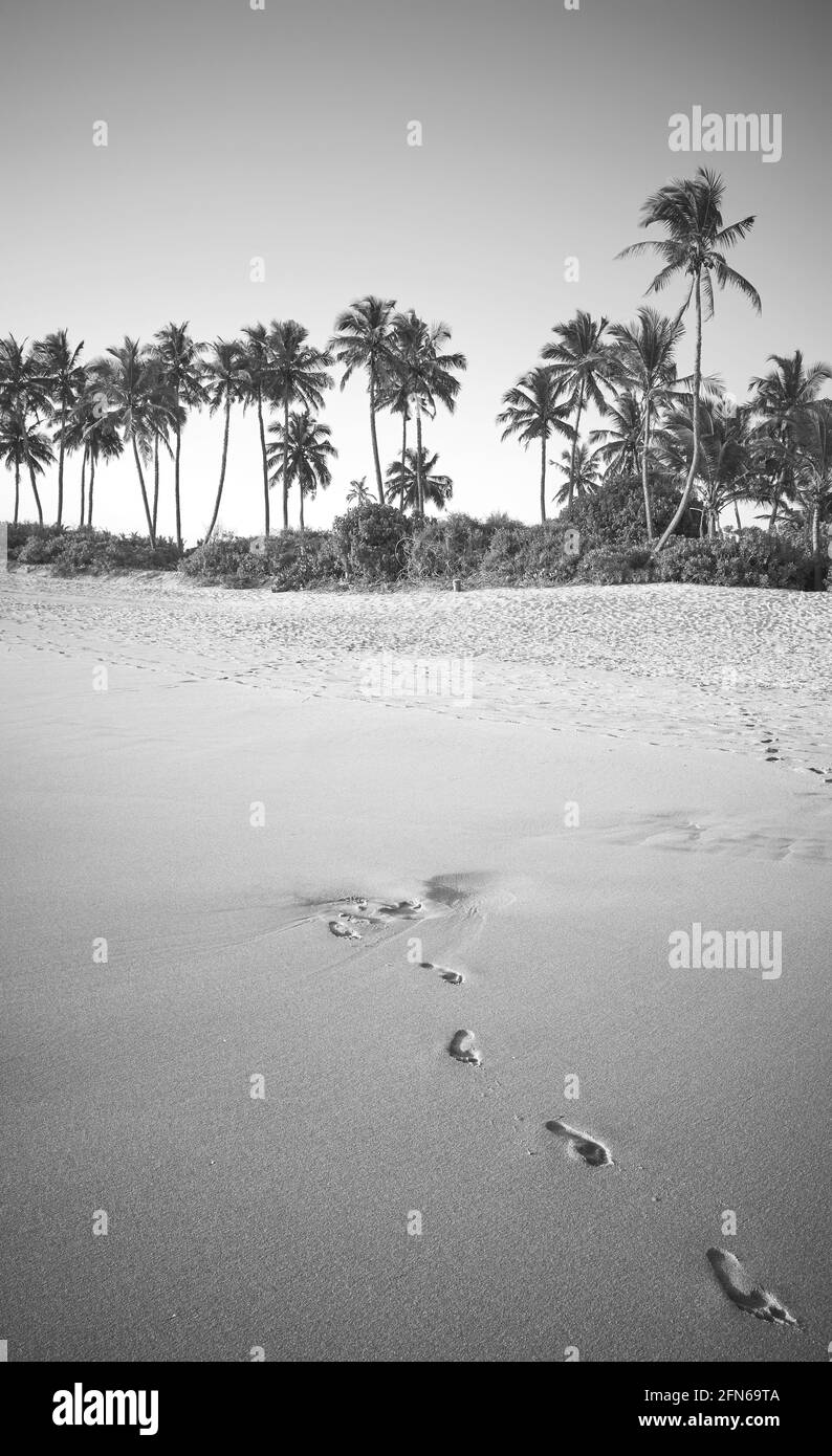 Image en noir et blanc d'une plage tropicale avec empreintes de pas sur le sable. Banque D'Images