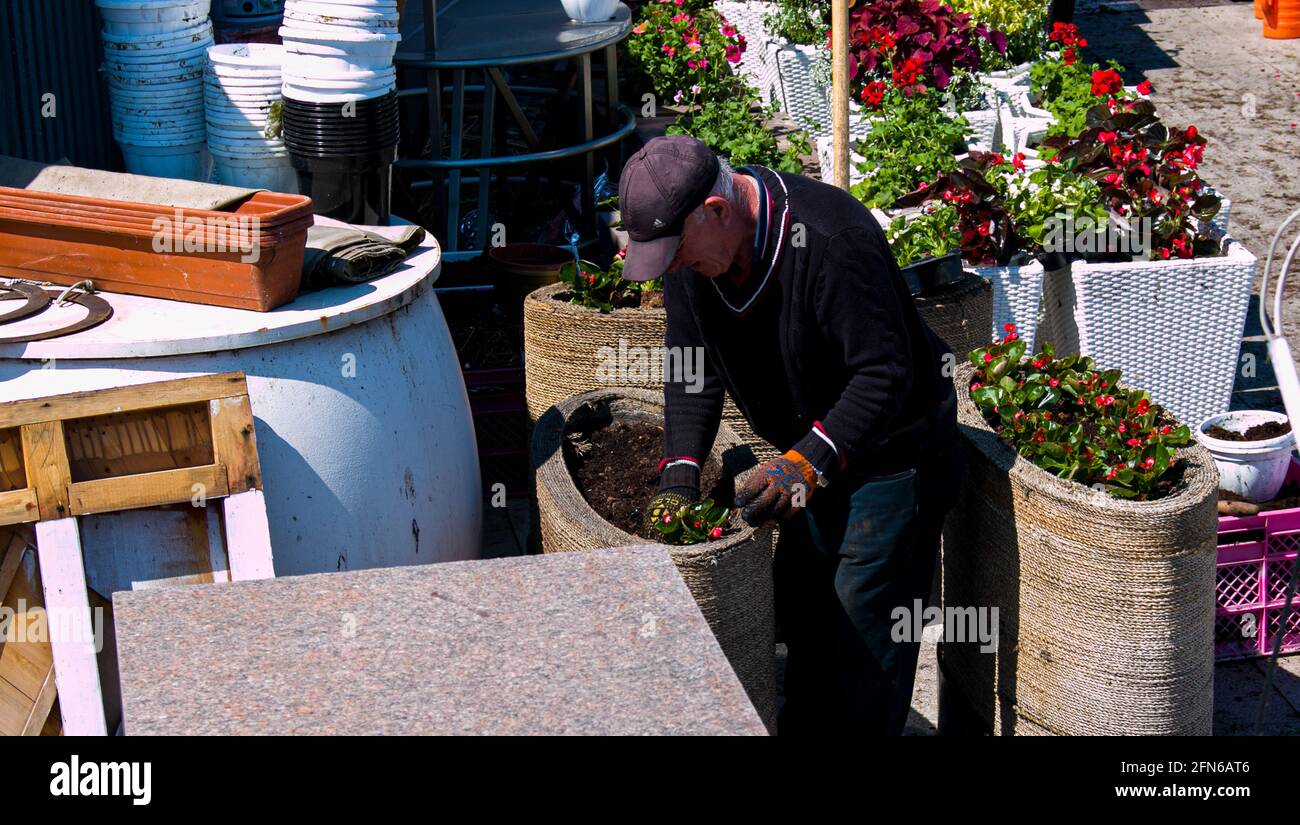 Dnepropetrovsk, Ukraine - 01.05.2021: Préparation de fleurs décoratives pour décorer un café sur les rives du Dniepr. Banque D'Images