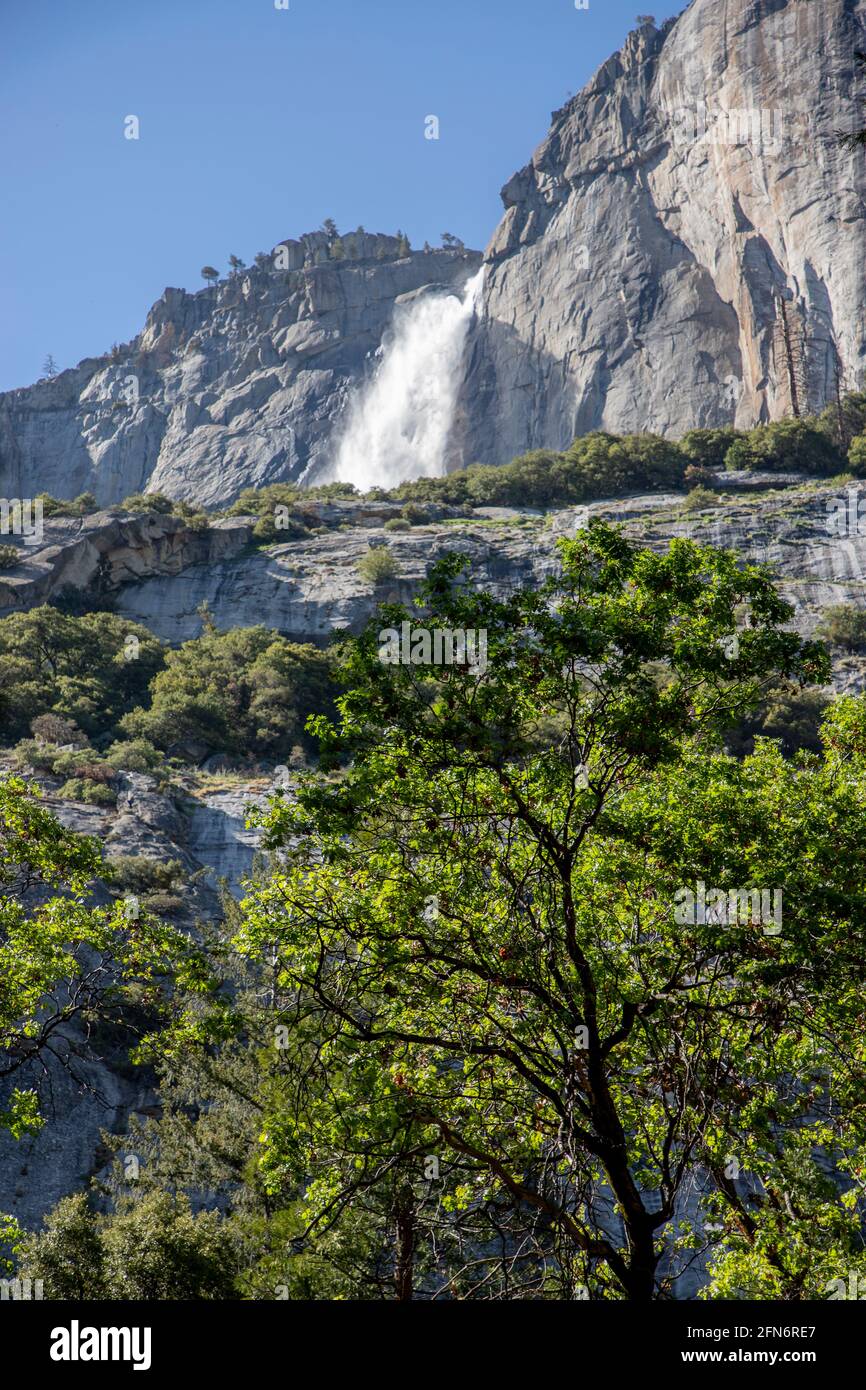 Upper Yosemite Falls depuis le Yosemite Falls Trail, dans le parc national de Yosemite, Californie. Banque D'Images