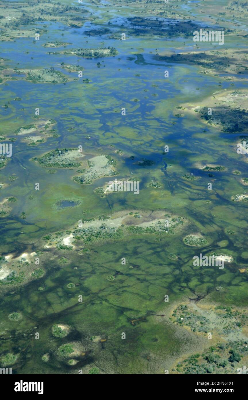 Botswana - Kalahari : le delta de l'Okavango est confronté aux plus grandes inondations depuis 46 ans. Die grösste Flut seit 46 Jahren verwandelt das Okavango Delta in Banque D'Images