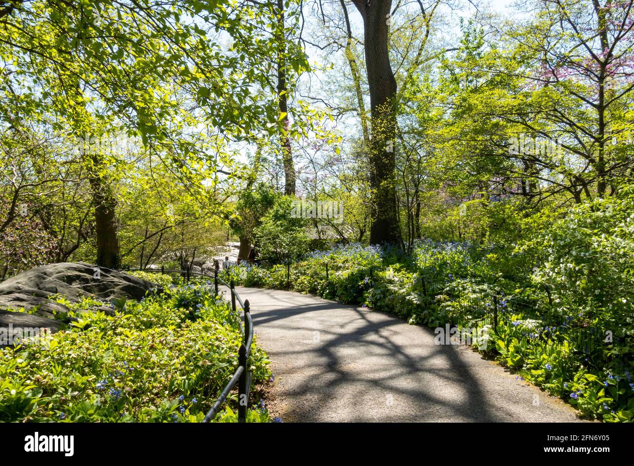 Ramble central park new york spring Banque de photographies et d’images ...