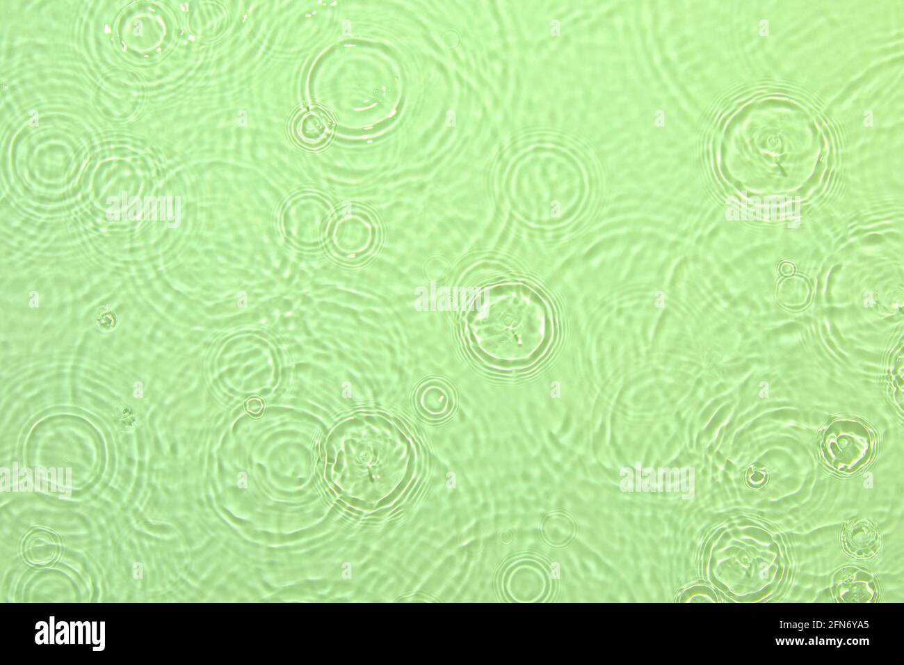 vert transparent eau surface texture été fond Banque D'Images