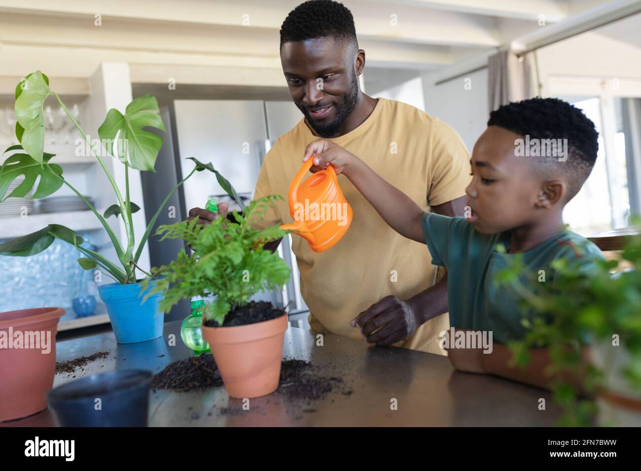 Père et fils afro-américains dans la cuisine, arroser les plantes Banque D'Images