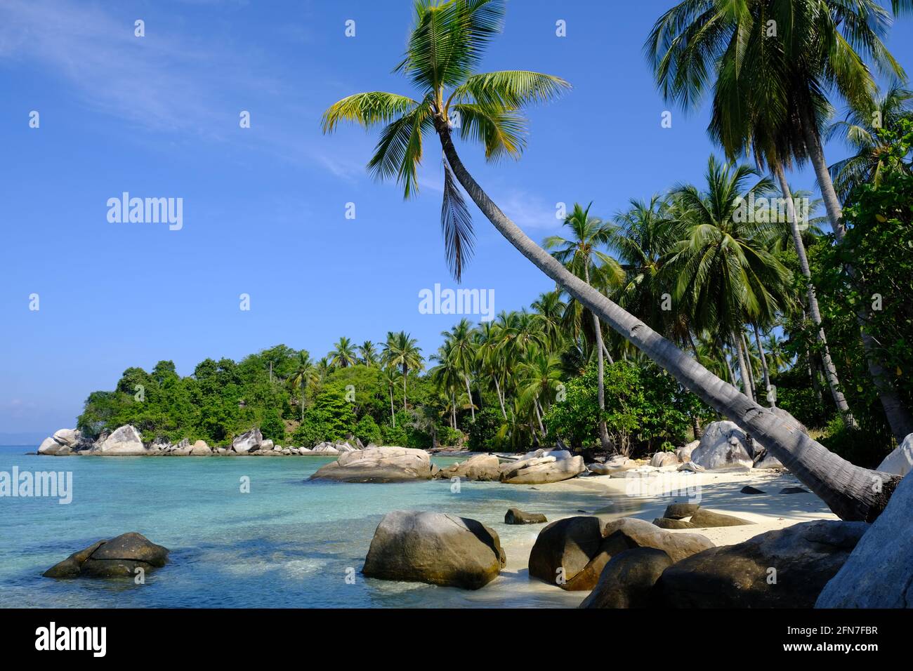 Indonésie Iles Anambas - côte de l'île de Telaga avec des rochers et palmiers Banque D'Images