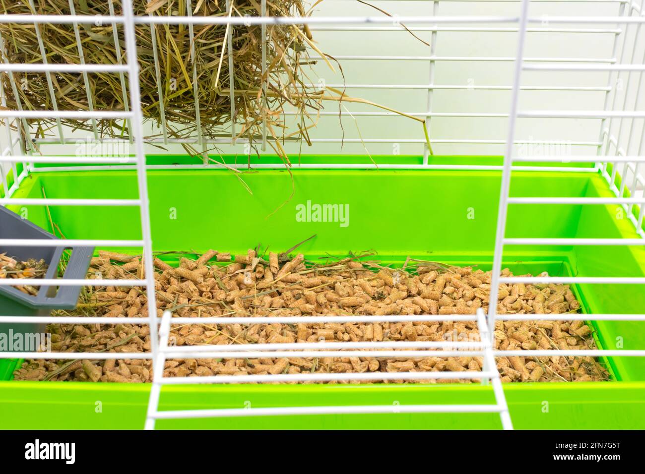 Cage à gros plan pour animaux avec plateau vert pour copeaux, sciure, alimentation, foin et foin. Garder les animaux dans les cages. Vue latérale. Banque D'Images