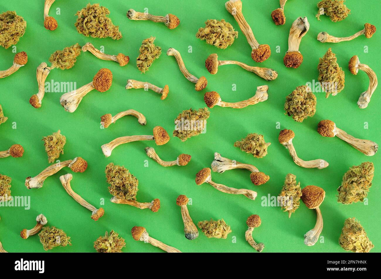 Concept de microdosage. Sécher les champignons psilocybine et les bourgeons de marijuana sur fond vert. Expérience psychédélique. Chanvre récréation, usage médical, legaliza Banque D'Images